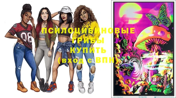 таблы Инсар
